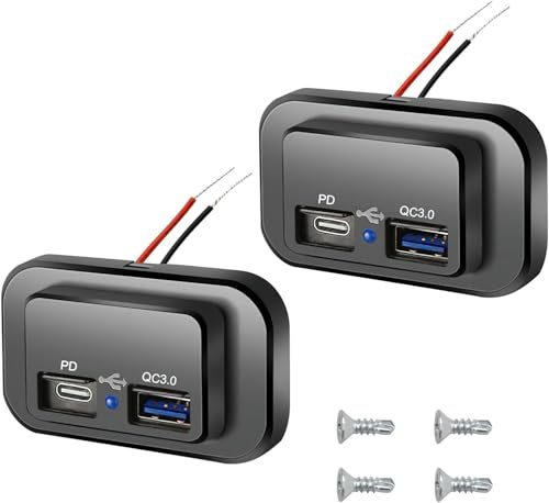 TNSLAND 2 stycken dubbelt USB-laddningsuttag, 12 V USB-billaddningsuttag 4,8 A dubbel billaddare uttag med strömbrytare och LED-billaddare för husbil SUV lastbil båt