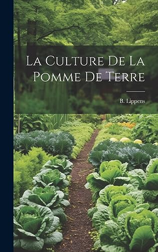 La culture de la pomme de terre