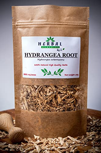 Hydrangea Root 30g Tea Dried Herb UTI Kidney Stones Bladder Urinary - Hydrangea Arborescens - Herbal Remedies by J. - Hortensja korzen
