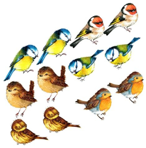 VALICLUD 12piezas Unidades Pegatinas Anticolisión Para Ventana Adhesivas Decorativas Estáticas Removibles Con Diseño De Pájaros Para Decoración Interior y Exterior