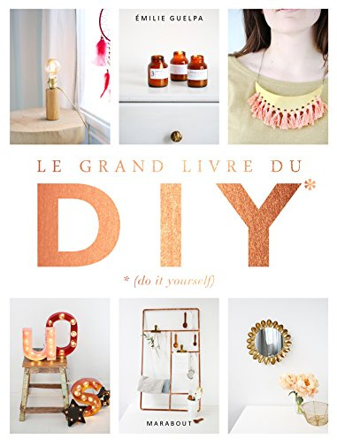 Le grand livre des DIY* *(Do it yourself): La bible de toutes les techniques