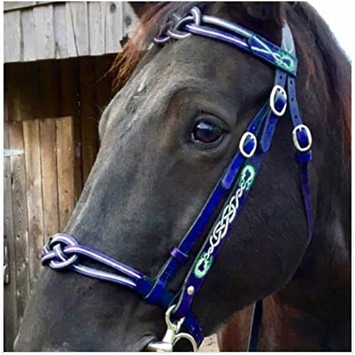 FHXYZ - Brides pour cheval - Rênes d'équitation en cuir - Avec rembourrage doux et boucle à joue unique - Taille réglable (Bleu)