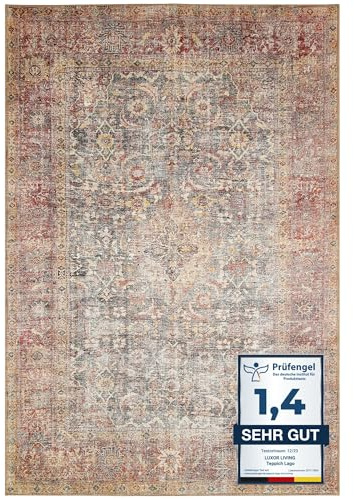 -LUXOR- living In- und Outdoor Teppich Lago, dünner waschbarer Teppich für Camping, Terrasse oder Wohnbereich, wetterfest, 160 x 230 cm, Rot