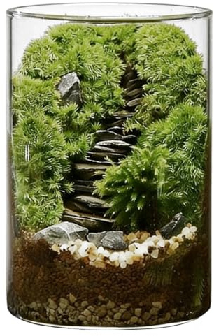 byepica Grande kit fai da te per terrario muschiato, bottiglia ecosistema in vetro borosilicato alto 15 x 9,9 cm, include strumenti e materiale, regalo antistress calmo per piante da interno, micro