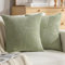 DecorMommt Taie Oreiller 40x40 Vert Herbe Velours Côtelé Rayé Housse Coussin Deco Interieur Maison Housses de Coussin Lot de 2 Moderne Housse de Coussin pour Salon Chambre Coussin de Canapé Décor