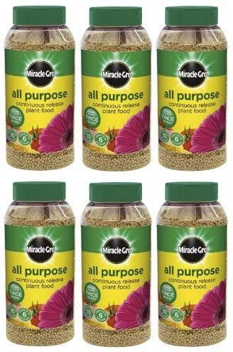 Miracle-Gro 12 x Slow Continuous Release All Purpose Plant Food, 1Kg Shaker Jar