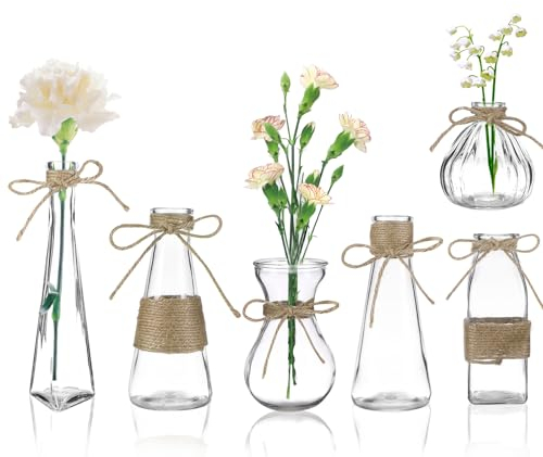 Vase Glas, 6er-Set Kleine Vasen für Tischdeko, Glasvasen Blumenvase Vintage mit Hanfseil, Mini Vasen Set für Blumen Trockenblumen Tischdeko Hochzeitsdeko - 6 Stile
