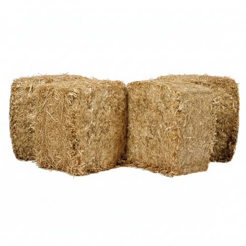 Litière en paille bio 15 kg pour poulets, chevaux, poules, ânes, poulains - paille dépoussiérée, naturelle, absorbante, écologique, thermique - litière pour lapins