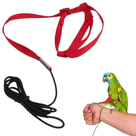Harnais Réglable pour Perroquet, Corde De Marche Extérieure Anti-Morsure Harnais pour Oiseaux Harnais Et Laisse pour Activités Extérieures, Entraînement pour Perruche Cacatoès(L)