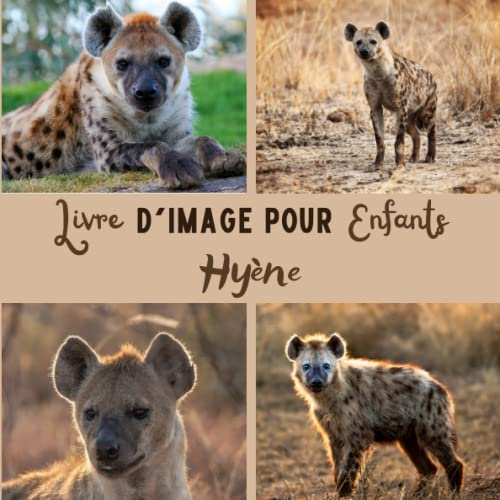 Livre d'images pour enfants - Hyène: Découvrir le Hyène en image - Enfants de 2 à 5 ans