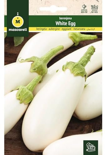 Mascarell Semillas, BERENJENA, Semillas Huerto, BERENJENA WHITE EGG, Crea tu Propio Huerto Urbano y Cultivo en Casa, Plantas Hortícolas, 1 Gramos