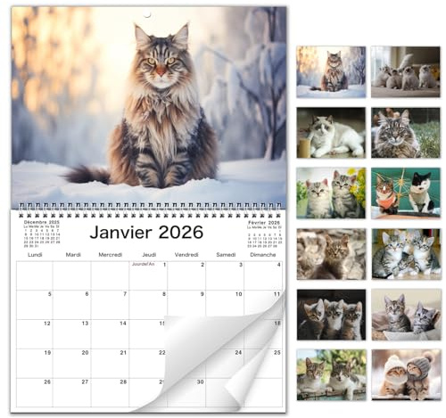 AEYAKA Calendrier Mural Chats 2026 – Calendrier Mensuel avec Photos de Chats, Format Mural A3, Organiseur Familial et de Bureau, Cadeau Parfait pour les Amoureux Français