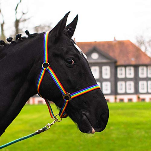 Pferdelinis Foal Halter for Mini Shetty Halter for Wooden Horse - Foal Halter 2-Way Adjustable on Chin and Headpiece (Colourful, Foal)