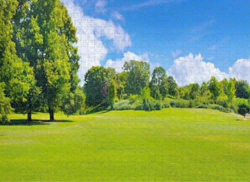Hard Challenging Difficult Family Cool Large Jigsaw Puzzles Summer Park deciduous Trees and Broad lawns Puzzles for Adults 1000 Pieces