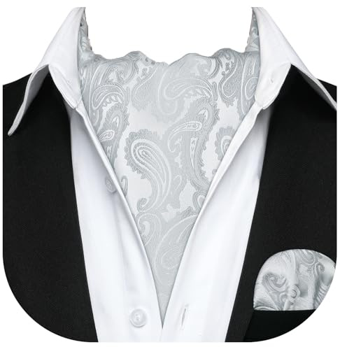 HISDERN Ascot Homme Gris et Mouchoir Mariage Cravate Ascots à Motif Cachemire Élégant Foulard Soie pour Hommes et Carré de Poche