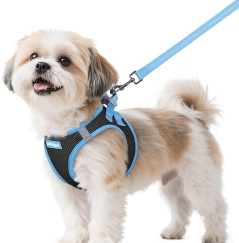 rabbitgoo Dog Harness Small Sized and Leash Set, Step-in Breathable Pet Harness, Soft Walking Reflective Puppy Vest for Small Dogs, Black & Light Blue, S
