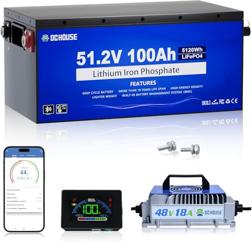 DCHOUSE Batteria al Litio 48V 100Ah con Custodia in Metallo, Batteria Lifepo4 BMS da 200A con Caricabatterie da 48V 18A, app mobile Bluetooth e monitor LCD, Corrente di picco 700A