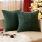 EMEMA Kissenbezug 40x40 cm Kordsamt Kissenbezüge Dekokissen Sofakissen Cord Kissenhülle Zierkissenbezug Kord Dekorative Weiche für Sofa Wohnzimmer Schlafzimmer 2er Set Dunkelgrün
