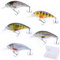 Zite Fishing Crankbait Wobbler-Set - 3D Natur-Design Barsch Hecht & Zander Angeln - 8,9cm Angelköder 5 STK in Box