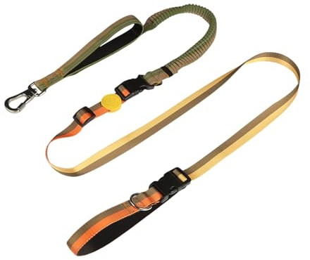 ‌EVERKING 6ft Hands-Free Dog Leash - 6-in-1 Adjustable with 360° Rotating Buckle, Night Reflective & Shock Absorbing for Large/Small Dogs (Up to 120lbs) (Golden)