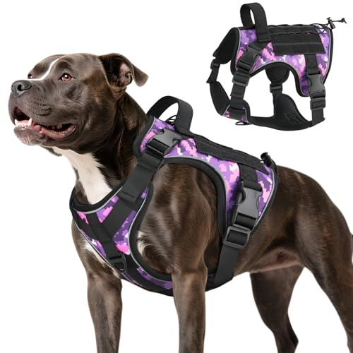 VavoPaw Arnés Táctico Perro, Fácil Control & Sin Tirar Arnés para Perros con Panel Molle y Tira Reflectante, Chaleco Táctico Perro Servicio de Adiestramiento, Paseos, Caza, Outdoor, Camuflaje Morado,M
