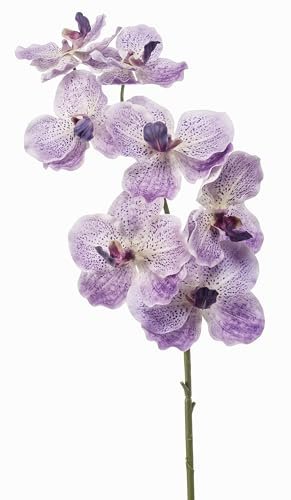 artplants.de Dekorativ kvist Vanda-orkidé LODON, ljuslila-vit, 75 cm