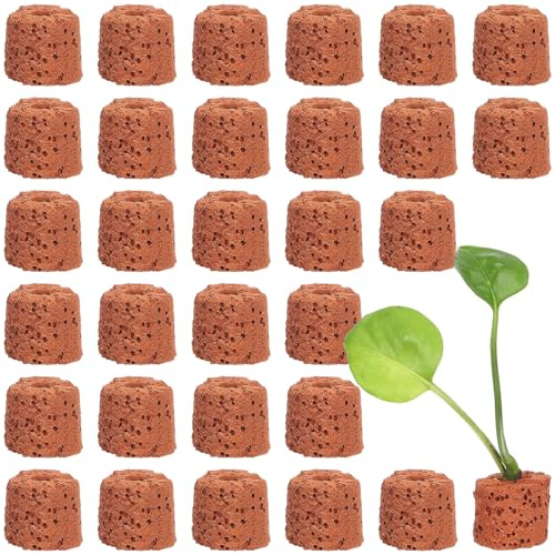 jojofuny 30 pièces Anneau de Fixation Plantes Aquatiques Anneaux Poids Gravité Poterie Rouge Foncé pour Aquarium Support Stable sans Sable Adapté Petits Bassins et Décorations Aquatiques