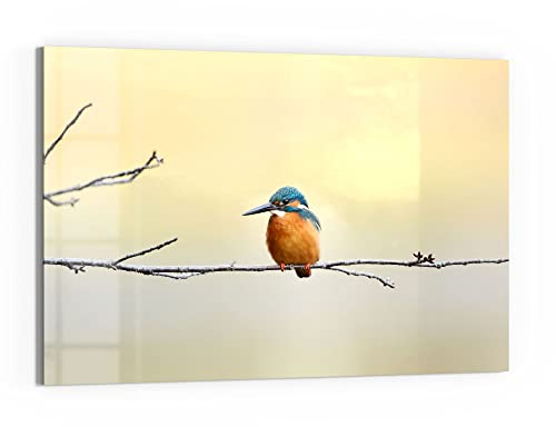 DEQORI Glas-Magnettafel | 90x60 cm groß | Motiv Königsfischer auf Zweig | Memo-Board aus Glas | Magnetboard inkl. Magnete, Stift & Tuch für Küche & Büro | Tafel magnetisch & beschreibbar