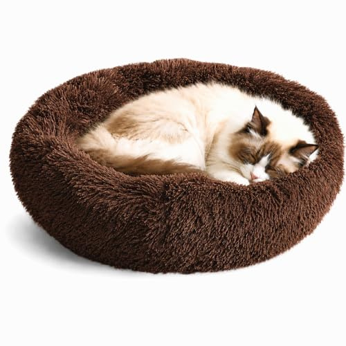 Whiskers & Friends Cat Beds for Indoor Cats & Small Dog, Fluffy Cat Bed
