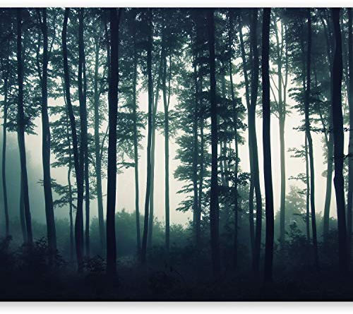 murando - Vlies Fototapete Wald 350x256 cm - Foto Tapete Schlafzimmer Wohnzimmer Moderne Vliestapete XXL Wandtapete Motivtapeten Bildtapete 3d Effekt Wand Dekoration - Wald Natur Nebel c-B-0223-a-a