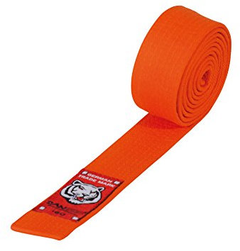 FVLFIL Danrho Junior Taekwondo Judo Karate Gürtel 4 cm Budogürtel 1-farbig einfarbig