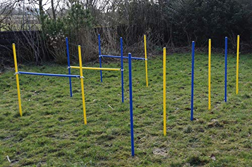 Wuzzmann Fun-Agility-ÖVNINGS-keps/Slalom-tangent set i blå/gul