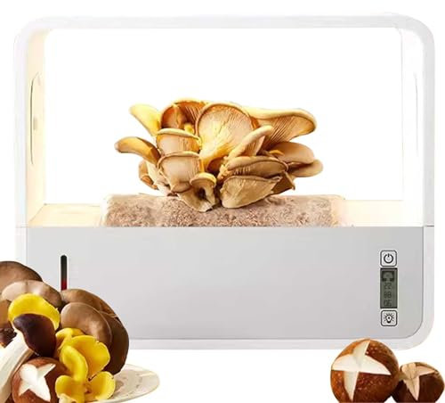 PLSGKF Kit De Cultivo Mushroomes, Set De Cultivo De Setas Mushroomes Caja De PlantacióN Inteligente, No Requiere Experiencia, Regalos para Familiares
