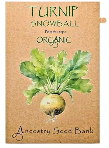 Organic Turnip ❁ Snowball ❁ x150 Seeds Heirloom - Non GMO