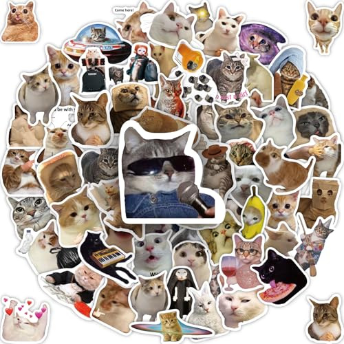 100 Pcs Cat Stickers, Funny Cat Meme Stickers, Cute Kitten Packs