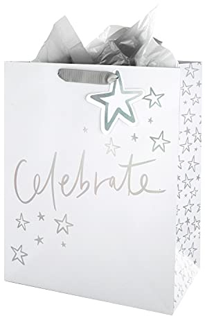 Hallmark Juego de bolsa de regalo grande y papel de seda para múltiples ocasiones, diseño holográfico de texto con papel plateado