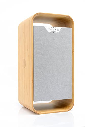 OneLife X Design-Luftreiniger | waschbarer Filter | keine Filterkosten | entfernt 99,99% Pollen, Staub, Bakterien und Viren | ruhig | langlebig | effizient
