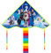 Kinder Drachen, Frozen ELSA Kinderdrachen, Drachenschnur Einleiner Flugdrachen Kinder für Beach Trip Outdoor Games, Outdoor Spielzeug für Anfänger