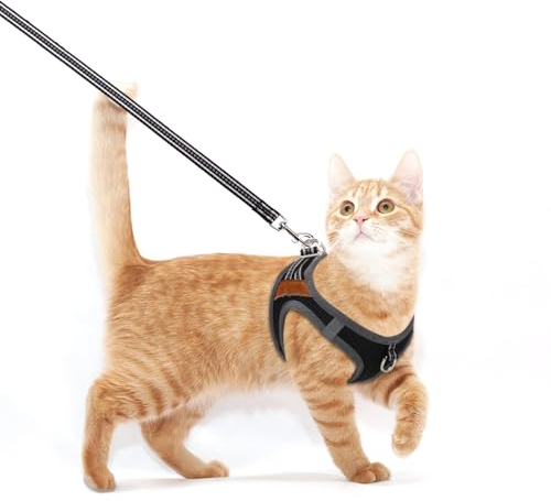 Katzengeschirr, Katzengeschirr mit Leine Ausbruchsicher Reflektierend,Einstellbar Katzengeschirr Kitten Leicht Katzen Geschirrset Katzenweste für Kätzchen Welpe (XS, Schwarz)