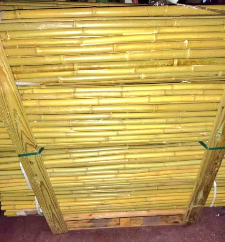 Mugar - Vallas de Ocultación de Bambú Natural | Fácil de Instalar | Ecológicas | Ideal para Jardín y Techados | 1 x 2,5 Extra Grueso, Bambú Decorativo