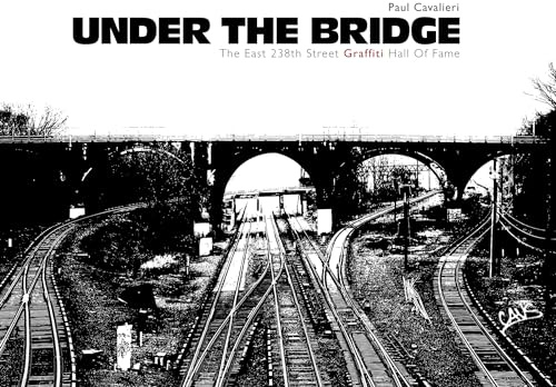Under the Bridge: The East 238th Street Graffiti Hall of Fame