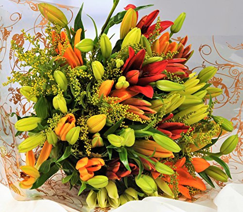 Homeland Florists Asiatic Lily Fresh Flowers Delivery Next Day Prime, Send a Luxury Gift Wrapped Bouquet of Lilies with Personalised Handwritten Card