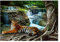 WallArena - Vlies Fototapete 3D Effekt Tiger Dschungel Tiere Wasserfall 368x254 cm - Fototapeten - Tapeten - für Wohnzimmer Schlafzimmer - Vliestapete Wandtapete Tapete 3D Effekt- inkl. Kleister