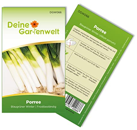 Porree Blaugrüner Winter Samen - Allium porrum - Porreesamen - Gemüsesamen - Saatgut für 150 Pflanzen