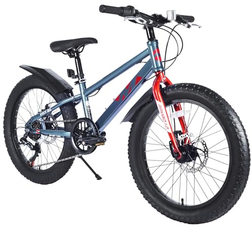 WEEROCK 20 Inch Kid Bike Kids' Mountain Bike Child Snow Bicycle with 20 * 3.0 Inch Fat Tires,7 Speeds, Steel Frame, for 5+ Years Old Boys, Girls, Children,Students, Junior, Grey