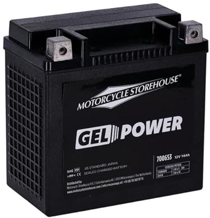 Nano Series Batteria GEL Sigillata, 12V, 14Ah, Spunto 260CCA, Terminali in Rame, 15cm x 14,5cm x 8,7cm, Alloggiamento ABS Resistente - Compatibile per Moto (Harley-Davidson) - 04-22 (NU) XL Sportster;