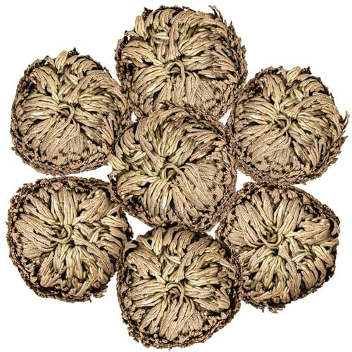 7 Pack Rose of Jericho Dried Plants - Rosa de Jerico Original, Dried Fern Like Scale Leaf Prayer Plants for Spiritual Purification, Home Decor
