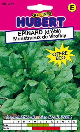 Graines d'Epinard (d'été) Monstrueux de Viroflay - 30 grammes
