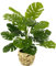 Flair Flower Kunstpflanze im Topf Künstliche Blattpflanze Splitphilo-Pflanze Monstera Seidenblumen Pflanzen Dekopflanze Grünpflanze Seidenpflanze Zimmerpflanze Kunstblume Deko Büropflanze, Splitphilo