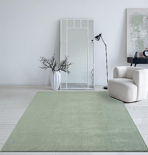 Mia´s Teppiche Taos kuscheliger Kurzflor Teppich, Anti-Rutsch Unterseite, Waschbar bis 30 Grad, Super Soft, Felloptik, Grün, 160 x 220 cm